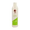 Shampooing Tepezcohuite Nutrinat – 250ml