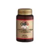 Chitosan+Ananas+Vit.C 100 Capsules Obire
