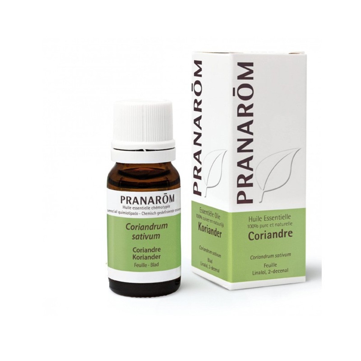 Cilantro Fruto Pranarom – 10ml