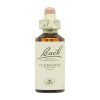 Clematide Λουλούδια Bach – 20ml