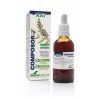 Composor 18 Regastril Comprimés Siglo XXI Soria Natural – 50ml