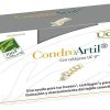 Condroartil Ucii 30 Capsules 100% Naturel