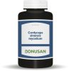 Cordyceps Sinensis Mycelium 90 Κάψ. Bonusan