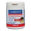 Kurkuma der schnellen Freisetzung 60 Tabletten Lamberts
