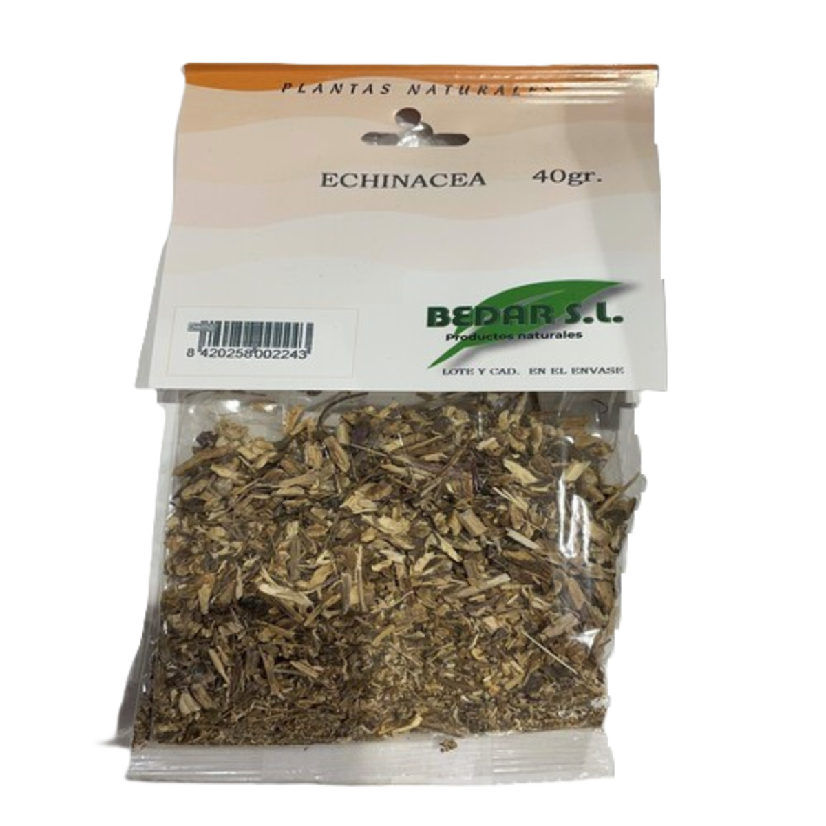 Echinacea 6 Uds Bedar – 40g