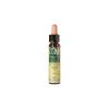 Elixir Floral Eco Sauce 38 – 10ml