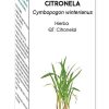 Equisalud Bio Essential Oil Citronela – 10ml