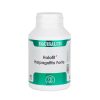 Equisalud Holofit Harpagofito Forte 180 capsules