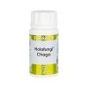 Equisalud Holofungi Chaga 50 capsules
