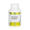 Equisalud Holofungi Micelium 180 cápsulas