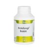 Equisalud Holofungi Reishi 180 Kapseln