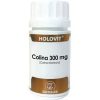 Equisalud Holovit Cholin 300 Mg 50 Kapseln