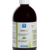 Ergysil solution Nutergia – 500ml
