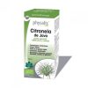 Απόσπασμα Κιτρονέλα Physalis – 10ml