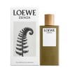 Essenz Eau De Toilette – Loewe – 50ml