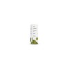 Ravensara Essentie Bio Terpenic – 10ml