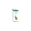 Esential Öl Bio Zypresse . Equisalud – 10ml