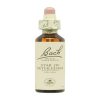 Stella di Betlemme Fiori di Bach – 20ml