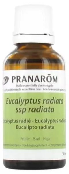 Eucalyptus Radiata Feuille Bio Pranarom – 30ml