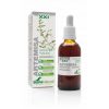 Artemisia-extract Siglo XXI Soria Natural – 50ml