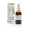 Extrato de Cavalinha Século XXI Soria Natural – 50ml