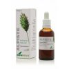 Εξτράκτο Alpiste Soria Natural – 50ml