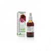 Extrait d'Echinacea 50 ml XXI Soria Natural
