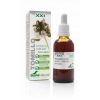 Extract van Tijm Tinctuur XXI Soria Natural – 50ml