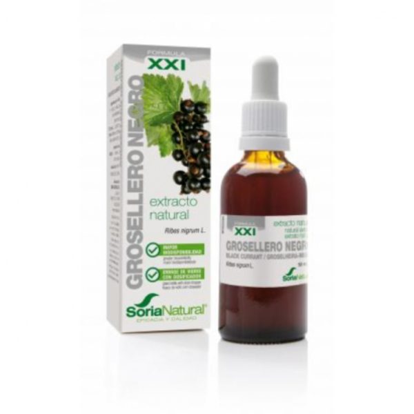 Estratto di grosella nera XXI Soria Natural – 50ml