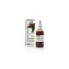 Extrait de Zarzaparrilla XXI Soria Natural – 50ml