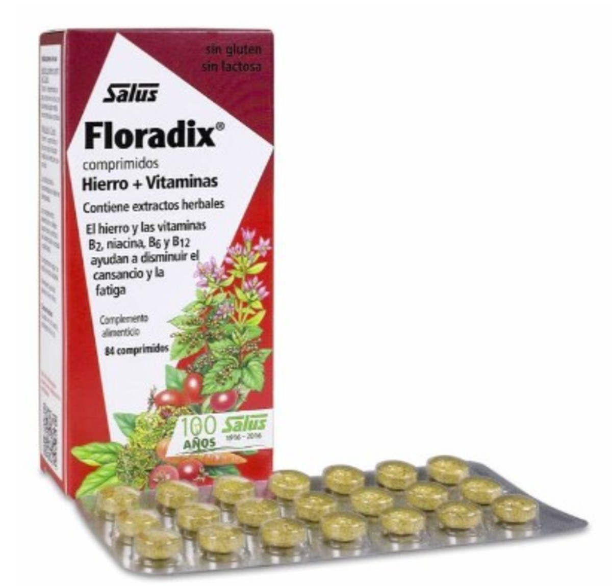 Floradix 84 Comprimidos Salus