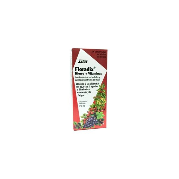 Floradix Sirop Fer + Vitamines 250 ml Salus
