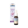 Fleurs de Bach 04 Centaury Centaurea Bio Biofloral – 20ml