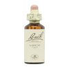 Bach Bloemen 19 Lariks – 20ml
