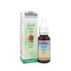 Flores De Bach 19 Larch Alerce Bio Biofloral – 20ml