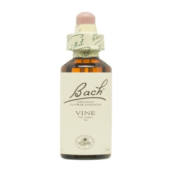 Flores de Bach 32 Perles – 20ml