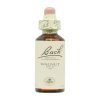 Bach Bloemen 33 Walnut-Nogal – 20ml