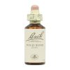 Flores de Bach 37 Rosa Silvestre – 20ml