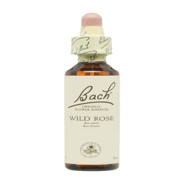 Flores de Bach 37 Rosa Silvestre – 20ml