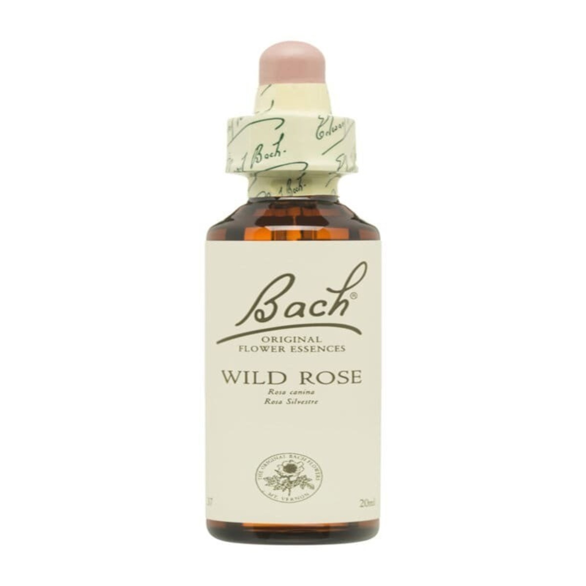 Flores de Bach 37 Rosa Silvestre – 20ml