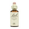 Bach Bloemen 38 Saus – 20ml