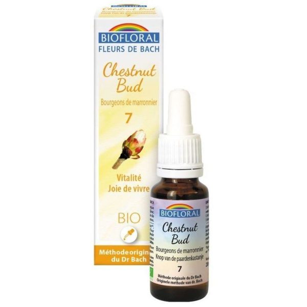 Fleurs de Bach Biofloral – Bourgeon de Châtaignier (Vitalité et Joie de Vivre) – 9g