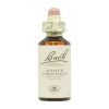 Flores de Bach Castaño Blanco – 20ml