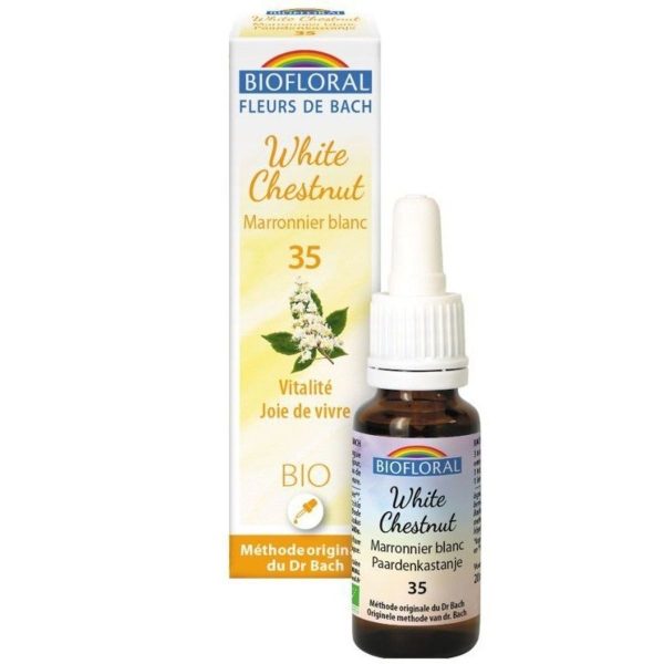 Fleurs de Bach Castaño de Indias 35 (Vitalité et Joie de Vivre)