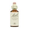 Bach Bloemen Centaurus Minor – 20ml