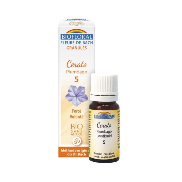 Fleurs de Bach Ceratostigma 5 (Force de Volonté) – Biofloral – 9g