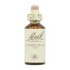 Flores de Bach Ameixa Vermelha 06 – 20ml