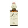 Bach Bloemen Impaciencia – 20ml