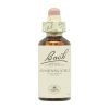 Rimedi floreali di Bach Caprifoglio – Rimedi floreali di Bach – 20 ml