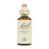 Flores de Bach Mimulo – 20ml